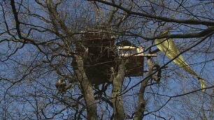 Die Rote Linie - Widerstand im Hambacher Forst