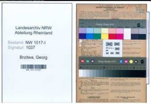 Entnazifizierung Georg Brzitwa , geb. 02.10.1900 (Lehrer)