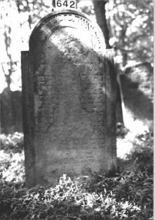 Grabstein 642 (Index: 99900615) Material: Sandstein Zustand: fast völlig verwittert Maße HxBxT: 140x70x14 cm Beschreibung: Stele mit eingezogenem Rundbogenabschluss: Grabstein 642