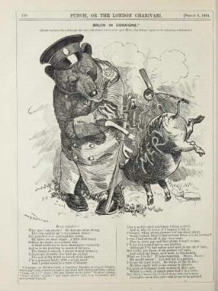 Bruin in Cokaigne