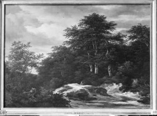 Waldlandschaft mit Bach