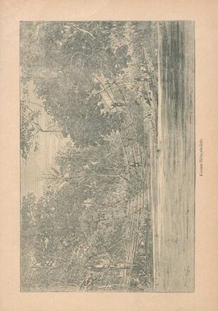 Lianen-Hängebrücke