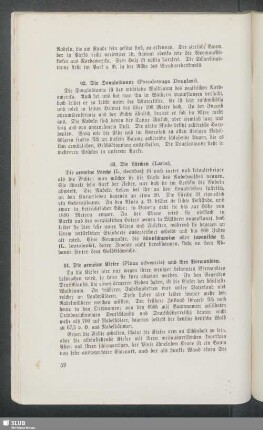 64. Die gemeine Kiefer (Pinus silvestris) und ihre Verwandten