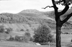 Sitzenkirch: Blick zur Sausenburg (Ast zeigt drauf), St. Johannis Breitehof