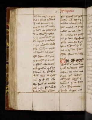 Item de sacerdote. (C17). Vos estis genus …