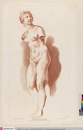 LA VENUS DE MEDICIS