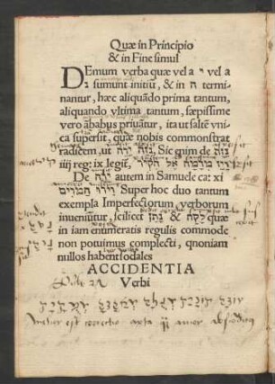 Accidentia Verbi