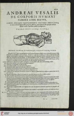 Liber sextus