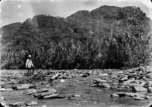 Am Rio Sarampiumi : Vegetation an einem Fluss