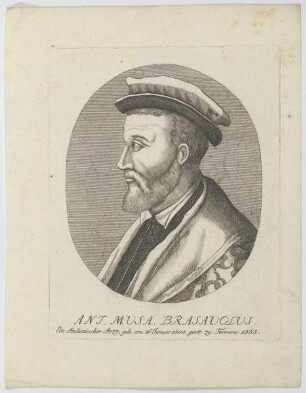 Bildnis des Ant. Mvsa Brasavolvs