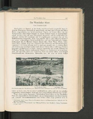 Das Wennbecker Moor.