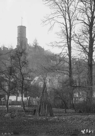 Burg Godesberg / Godesburg