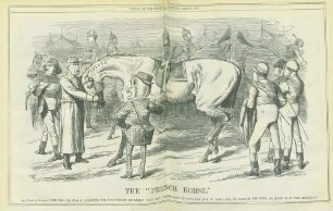 The "French" horse