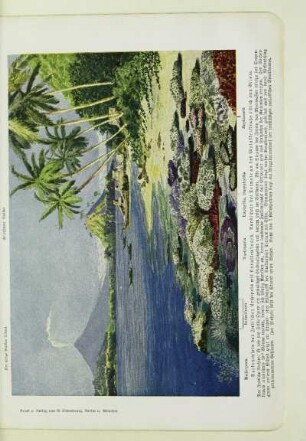 Vulkaninseln des Indischen Archipels mit Korallenstrand. Landschaft bei Ternate an der Molukkenstraße östlich von Gilolo