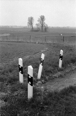 Ringenwalde
