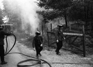 Brand im ausgetrockneten Hardtwald im Heißen Sommer 1964.