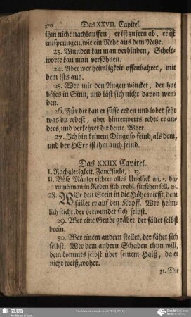 Das XXIIX. Capitel