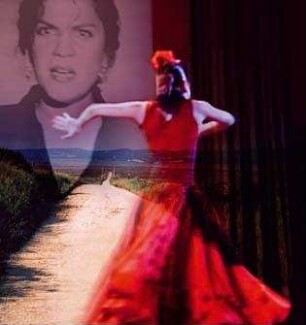 Flamenco mi vida