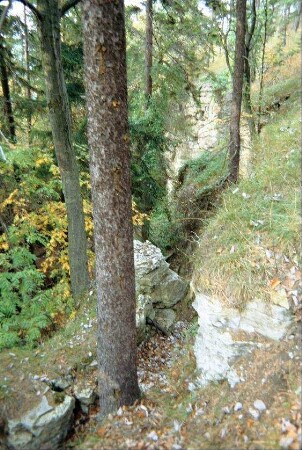Kammerlöcher zwischen Geraberg und Angelroda