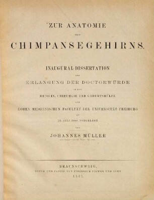 Zur Anatomie des Chimpansegehirns : Inaugural-Dissertation