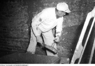 Dresden, Reportage über die Arbeit der freiwilligen Aufbauhelfer, Schüler der Prof.-Dr.-Zeigner-Schule Dresden, November 1953