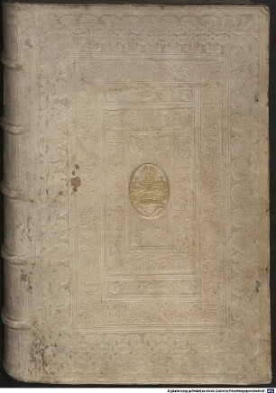 Polydori Vergilii Urbinatis Anglicae Historiae Libri Vigintiseptem : Ab ipso autore postremum iam recogniti, adq[ue] amussim, salva tamen historiae veritate, expoliti ; Indices rerum singularum et utiles et copiosos, in operis calce adiectos reperies