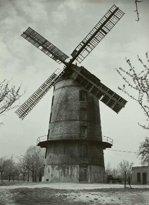Winkwitz, Turmwindmühle