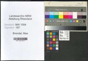 Entnazifizierung Max Brendel , geb. 26.09.1885 (Polizeibeamter)
