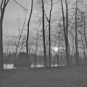 Landschaftsbild. Winter im Spreewald. Überflutete Wiesen und Felder bei Lübbenau. : Wobraz krajiny. Zyma w Błótach. Łuki a pola wokoło Lubnjowa su přepławjene.
