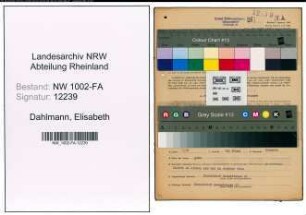 Entnazifizierung Elisabeth Dahlmann, geb. 09.02.1908 (Verkaeuferin)