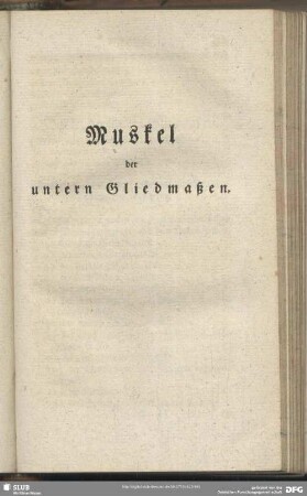 Muskel der untern Gliedmaßen