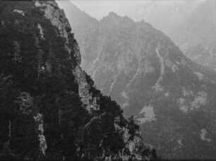Wald am Steilhang : Blick auf einen Wald an einem Steilhang