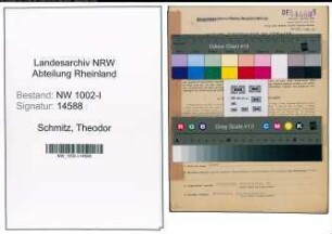 Entnazifizierung Theodor Schmitz, geb. 07.01.1903 (Kaufm.Angest.)