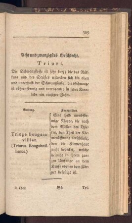 Acht und zwanzigstes Geschlecht. Triuri