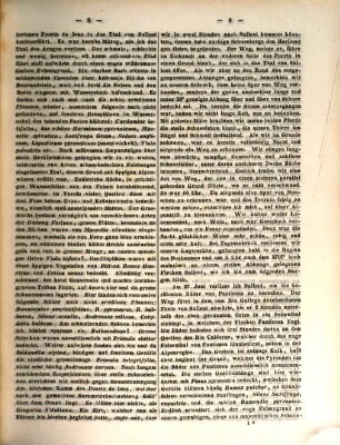 Botanische Zeitung. 9. 1851