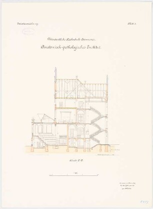 Tierärztliche Hochschule Hannover Anatomisch-Pathologisches Institut: Querschnitt 1:100