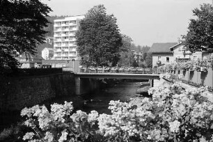 Hauptstraße mit Euro-Hotel und Blumenkübeln in St. Blasien