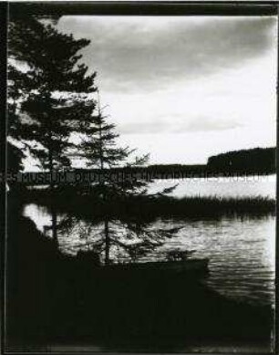 Seenlandschaft in der Dämmerung