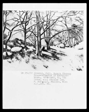 Schneeschmelze in Fontainebleau