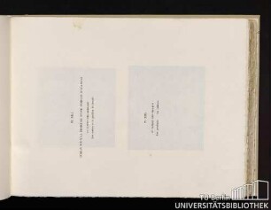 Pl. XIII. Jardin pour la demeure d'une famile d'artistes le jardin des abeilles. Les ruches et le pavillon de travail. Pl. XIII. Le jardin des Oiseaux. Les perchoirs - les volières.