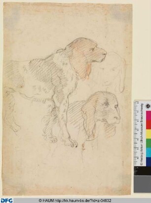 Drei Studien von (Jagd)Hunden (Münsterländer?)