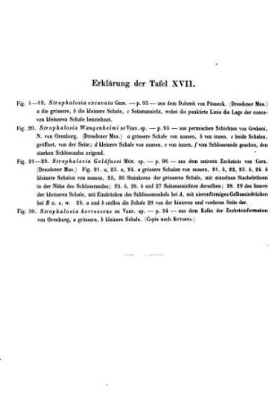 Erklärung der Taf. XVII.