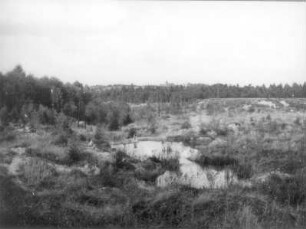 Zittauer Becken. Ehemaliger Braunkohlentagebau, abgesoffen, bei Hartau südöstlich Zittau