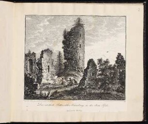 2. Das zerstörte Ritterschlos Haimburg, in der obern Pfalz. - Burg Haimburg, Berg bei Neumarkt in der Oberpfalz