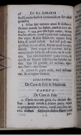 Subsectio VII. De Cane & Fele & Medicinis