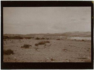 westl. v. 'en el-'asur vor w. [wadi] fikre [El-asur, bei wadi fikre]