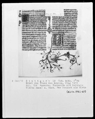 Lateinische Bibel in zwei Bänden für Franz von Gewicz — Initiale V (erba Amos) mit dem Propheten Amos als Hirte, Folio 154recto