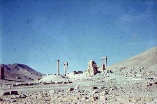 Palmyra Lager des Diokletian ?