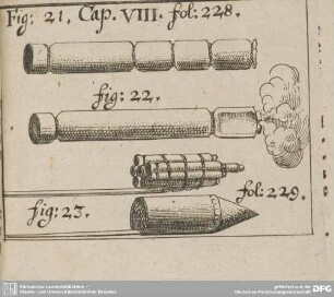 Fig: 21. Cap. VIII. fol: 228. fig: 22. fig: 23. fol: 229.