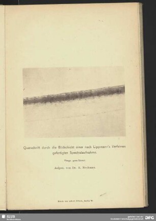 Querschnitt durch die Bildschicht einer nach Lippmann's Verfahren gefertigten Spectralaufnahme